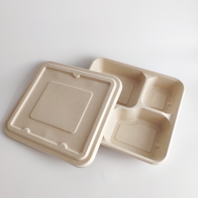 Brazos disponibles elegantes del robot de Tray Producing Machine With Two de la comida de la celulosa que moldean