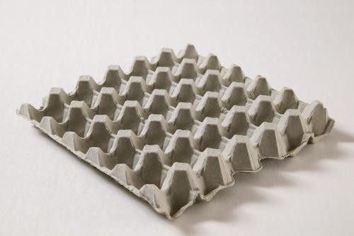 Máquina de moldear de papel amistosa de Eco para hacer la fruta Tray Coffee Cup Tray del cartón del huevo