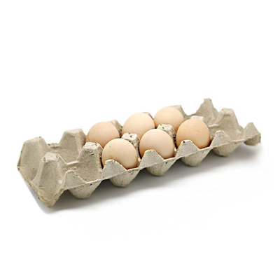 Máquina de moldear de papel amistosa de Eco para hacer la fruta Tray Coffee Cup Tray del cartón del huevo