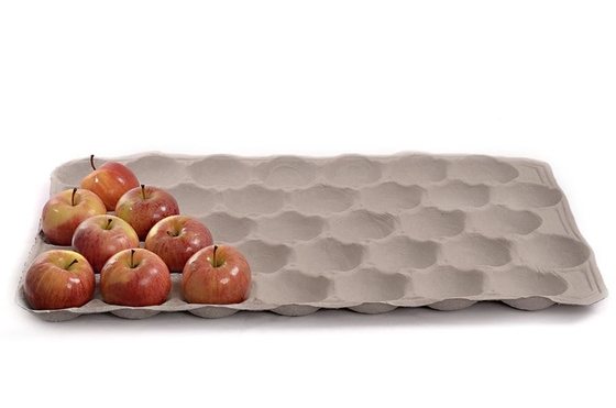 Máquina de moldear de papel amistosa de Eco para hacer la fruta Tray Coffee Cup Tray del cartón del huevo