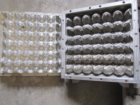 Arreglo para requisitos particulares de aluminio de la pulpa de la maquinaria estable del moldeado que forma el molde de recorte el presionar caliente