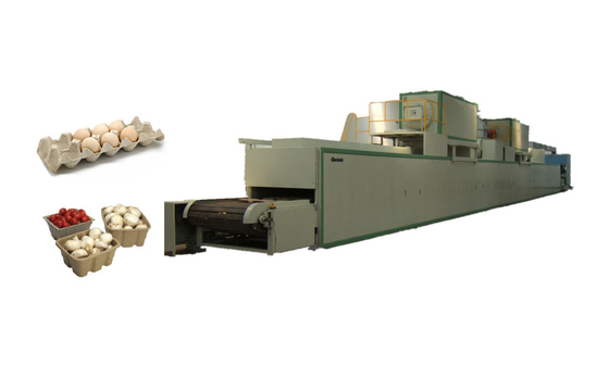 Línea completamente automática de Tray Machine Egg Packaging Drying del huevo