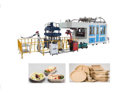 Maquinaria de moldeo de pasta de papel biodegradable Contenedor de alimentos desechables 1 año de garantía