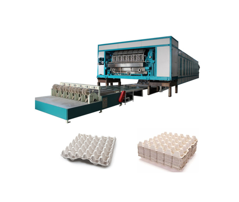 Máquina de producción de bandejas de huevo de 5000-7000pcs/h con línea de secado múltiple