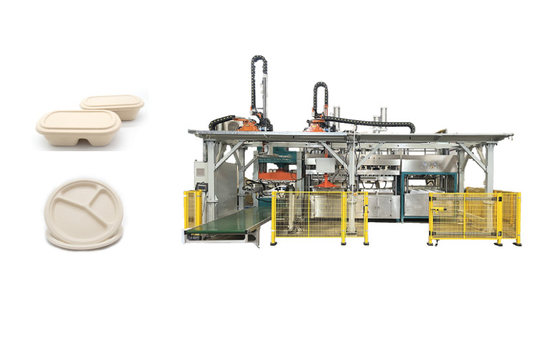 Almuerzo biodegradable Tray Pulp Molded Production Machine