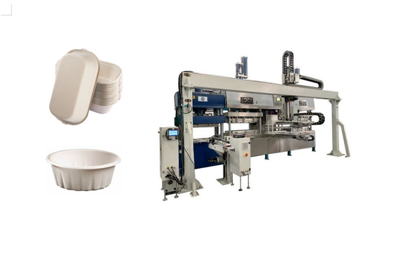 Carne moldeada pulpa biodegradable Tray Machine