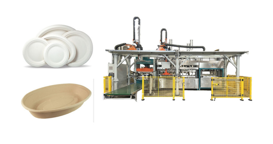 Máquina moldeada pulpa biodegradable del vajilla