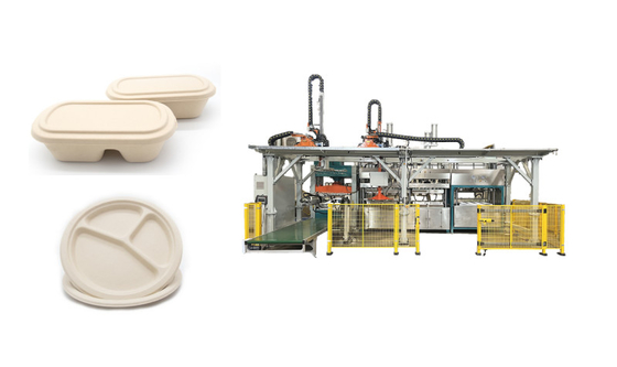 Comida completamente automática de la pulpa de madera que sirve a Tray Production Line