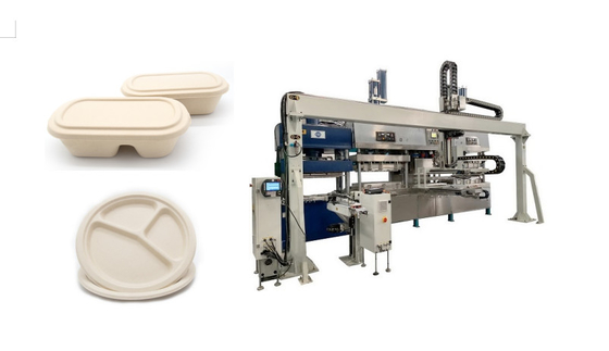 Alimentos de preparación rápida disponibles sostenibles Tray Machine de la caña de azúcar de la pulpa automática del bagazo