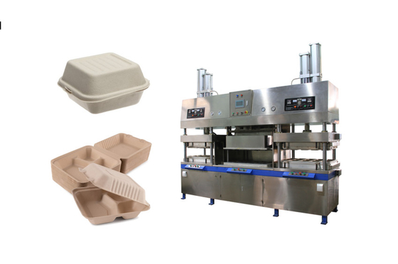 Máquina moldeada pulpa biodegradable de la caja de la cubierta