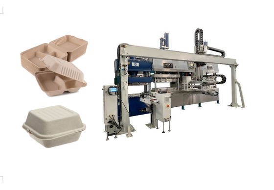 El envase de comida para llevar biodegradable reduce el equipo a pulpa moldeado