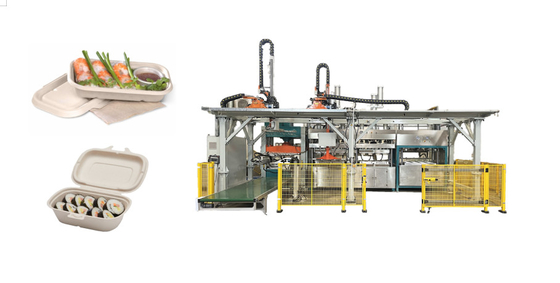 Máquina de bandeja de comida de moldeo de pulpa desechable
