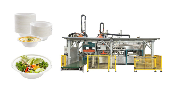 Máquina de envasado de cena desechable de moldeo de pulpa