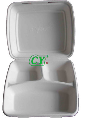 Máquina abonable manual de la prensa de Tray Dry In Mold Wet de la caña de azúcar de la maquinaria del moldeado de la celulosa del PLC