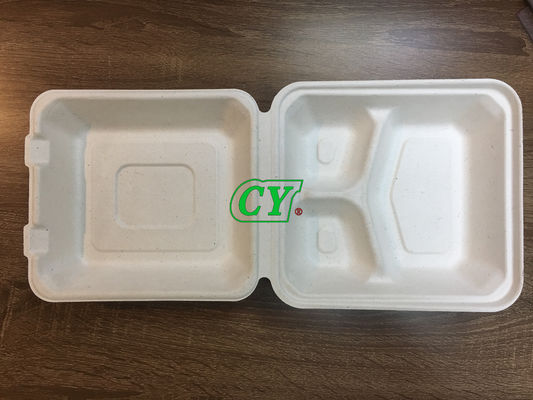 Máquina biodegradable del vajilla de la fibra de la pulpa de la placa del bagazo de la caña de azúcar