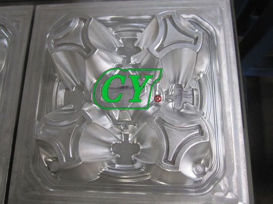 El molde plástico Diogradable de la celulosa recicla el café Tray Mould