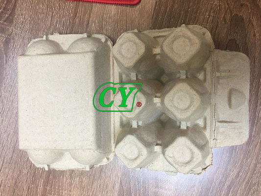 Célula reciclada biodegradable de la célula 6 del molde 4 de la celulosa garantía de 1 año