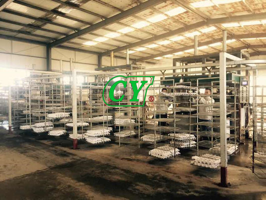 Cadena de producción amistosa del cartón del huevo de la secadora de la pulpa de Eco